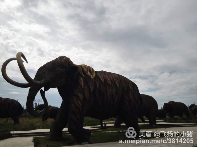 北京到贝加尔湖自驾游攻略,自驾游去贝加尔湖怎么走最好