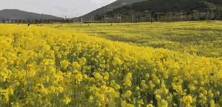 望亭污染,望亭发电厂污染严重吗