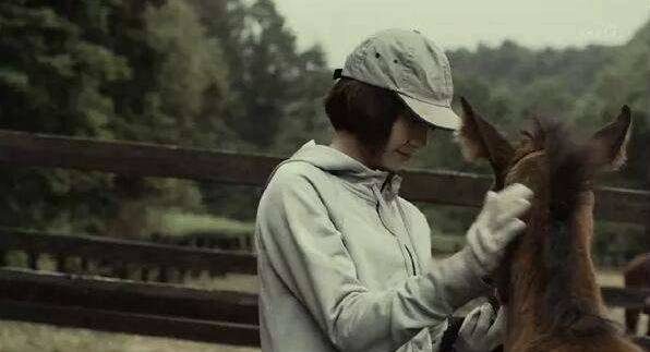 好奇霓虹:这么多霓虹剧嗷嗷待看,还说剧荒,就是你的不对了