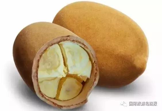 海南你没见过的水果,海南你没有见过的水果