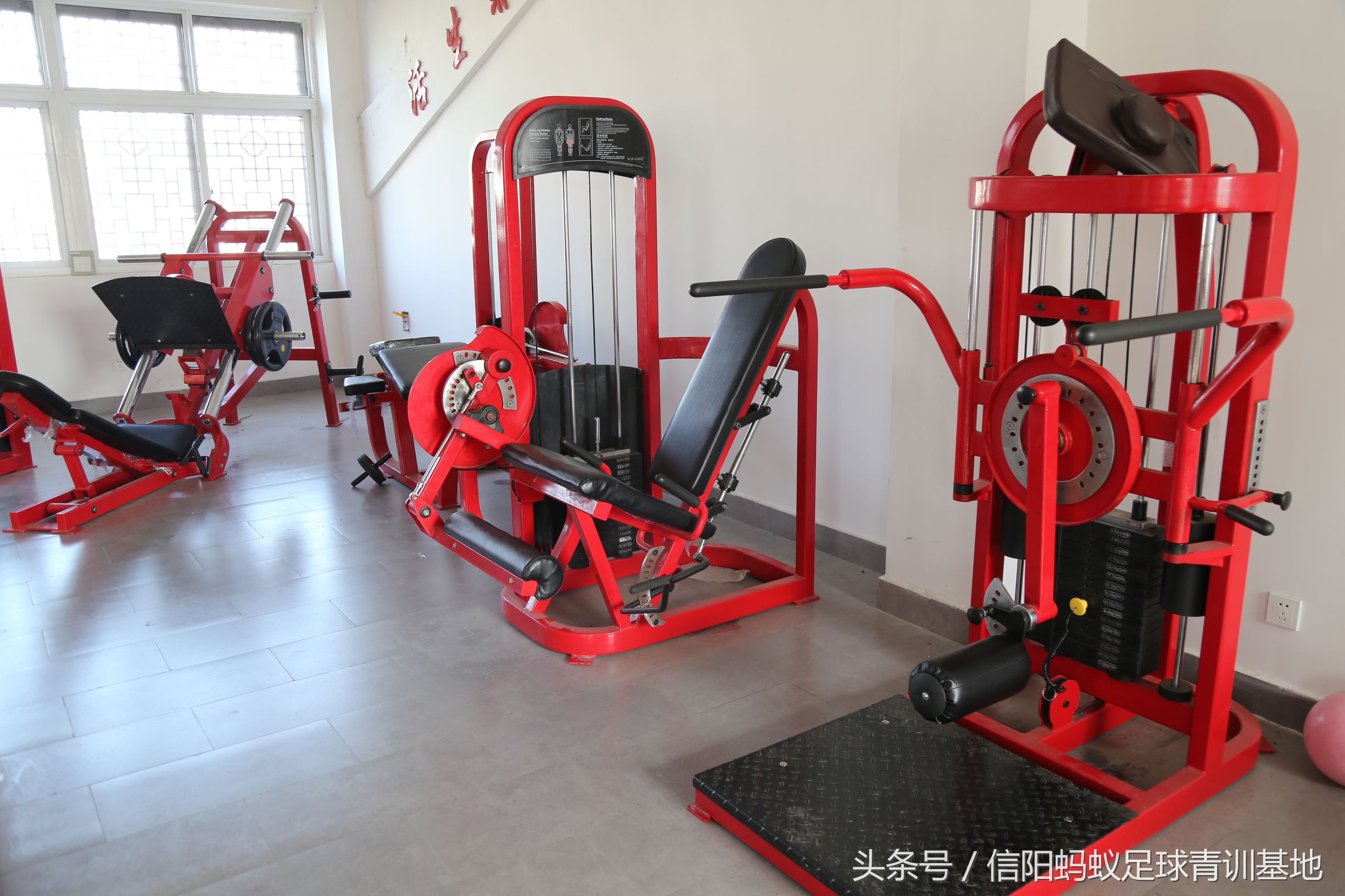 信阳蚂蚁足球排位赛,蚂蚁足球青训课堂