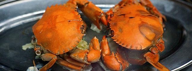 去三亚感受碧海蓝天,享受椰风海韵三亚度假指南精选