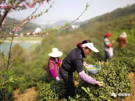 看完以后，你一定会怀疑之前观看铜陵这个村子的方式不对