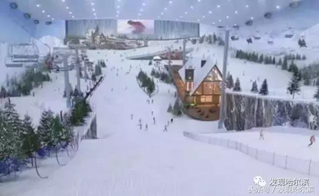 哈尔滨10条新消息,哈尔滨有什么好消息