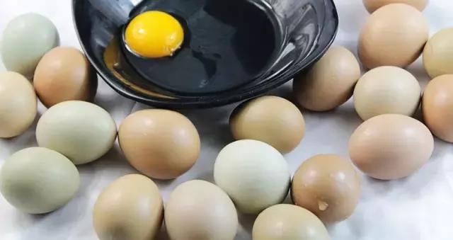 9种奇葩的动物蛋,这些奇葩的鸡蛋你见过吗