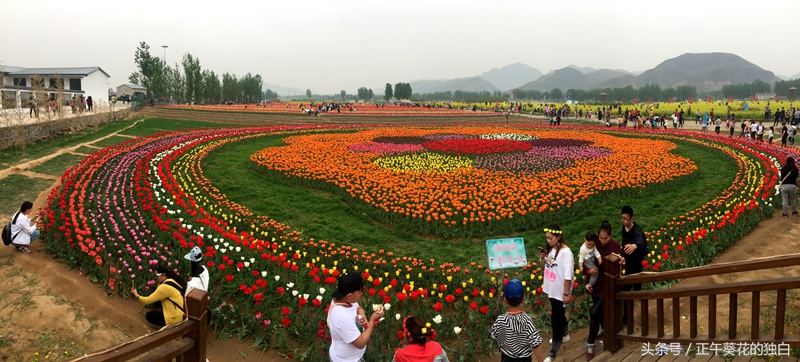 狼牙山田园花海入口,狼牙山万亩花田附近景点