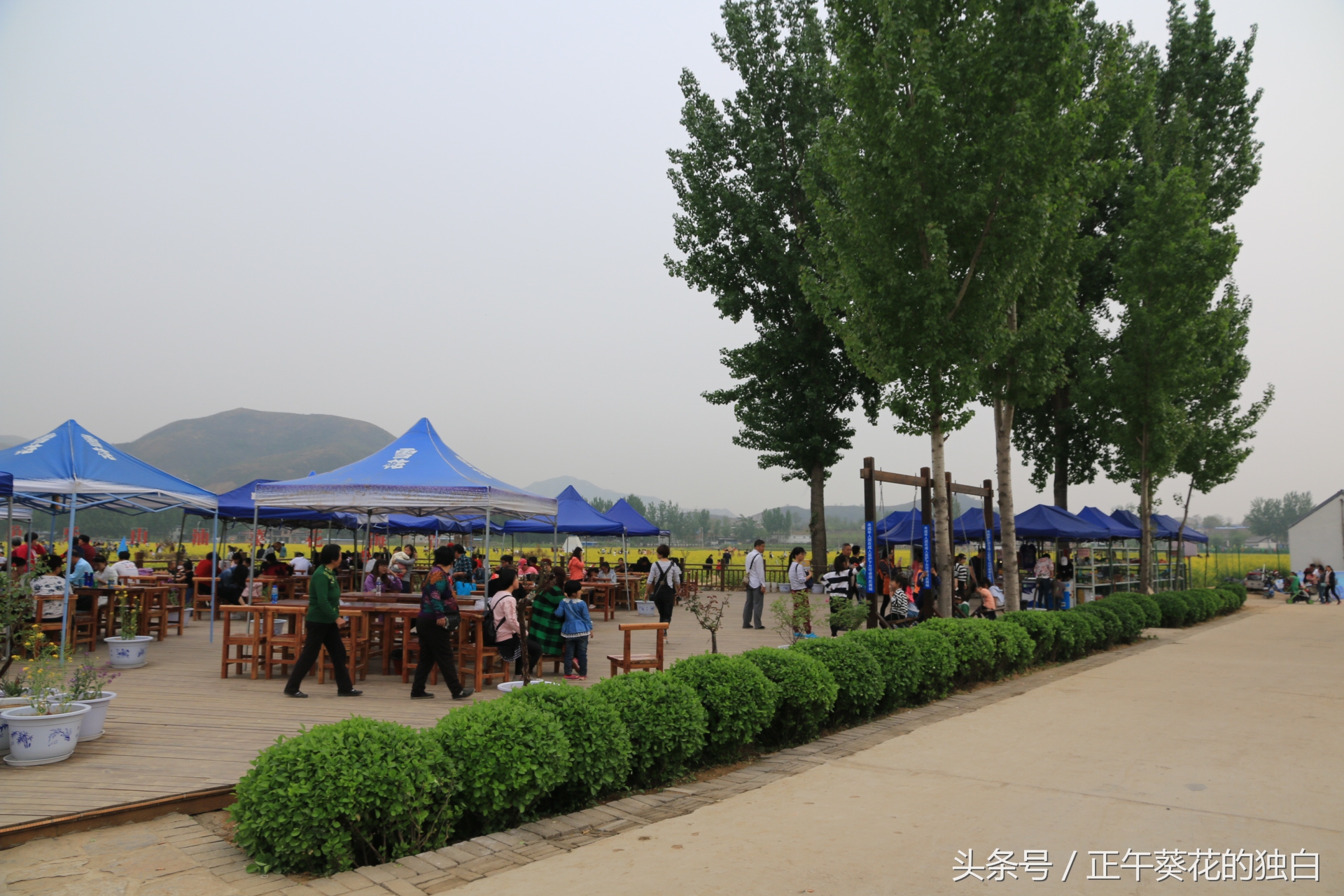 狼牙山田园花海入口,狼牙山万亩花田附近景点