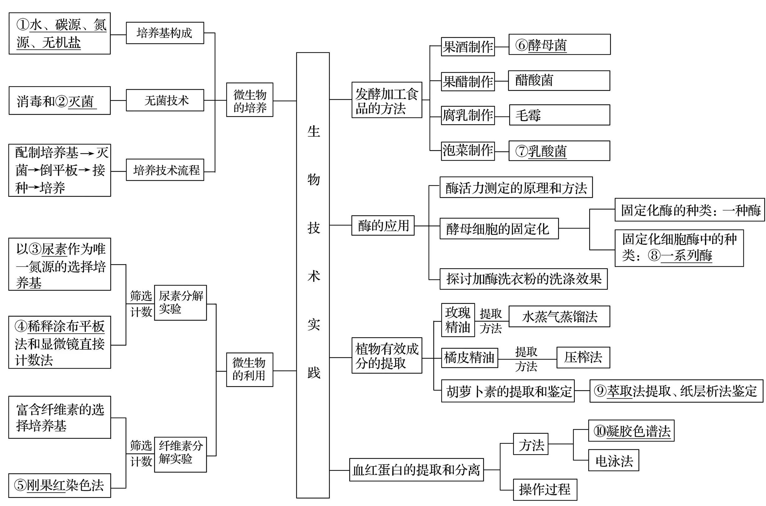 生物技术实践视频,生物技术实践