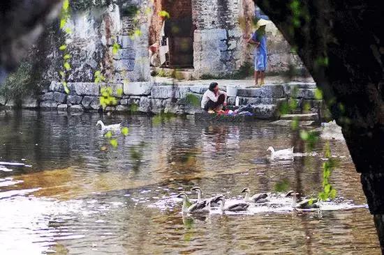 一个家族都可以拥有家谱吗,家谱是延续家族血脉的重要载体