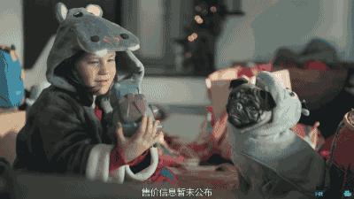 网上查快递是真的吗,美国查快递物流