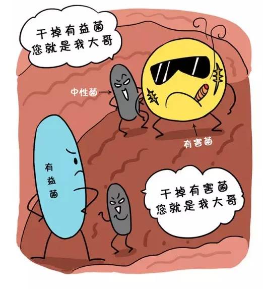 怎么鉴别益生菌品牌的安全,益生菌产品怎么辨别真假