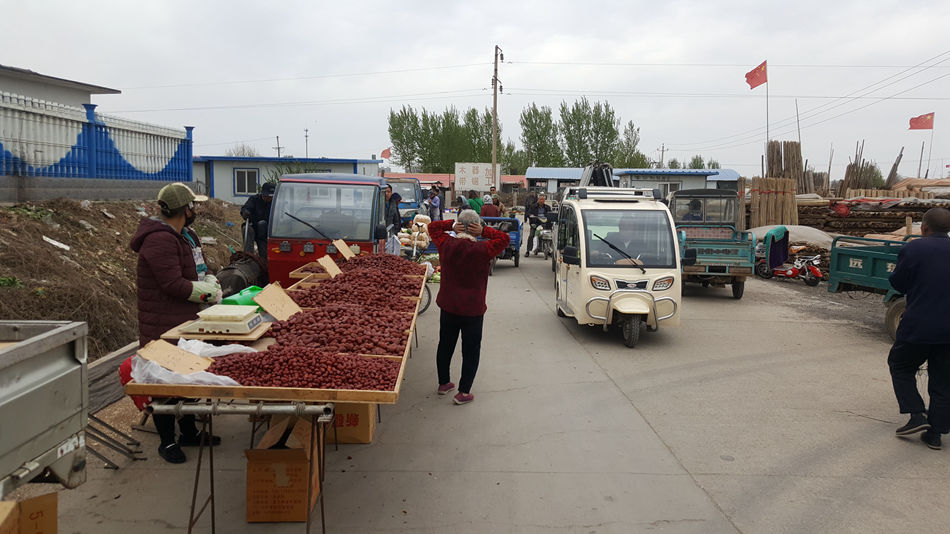 唐山市乐亭县大集,河北唐山乐亭大集