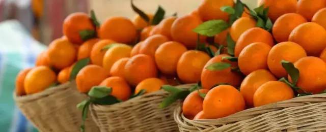 橙中贵族,美味之最:伦晚