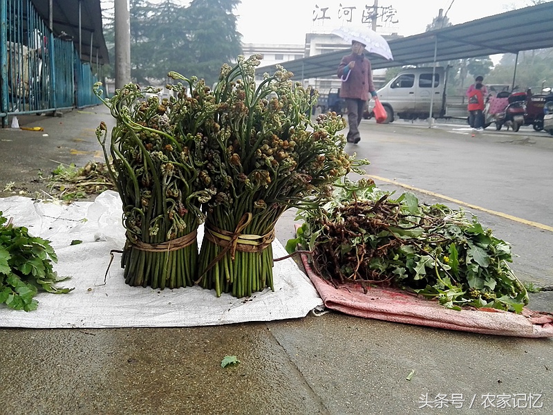 农村老人买野菜,农村卖的野菜