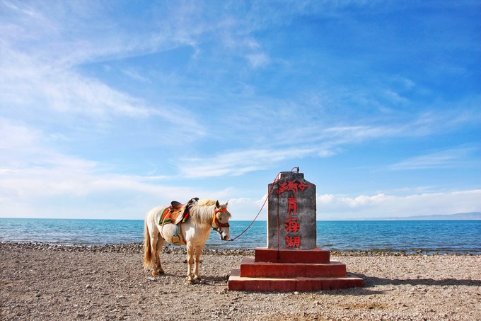西北归来,我想说给你听,青海甘肃西安华山11天