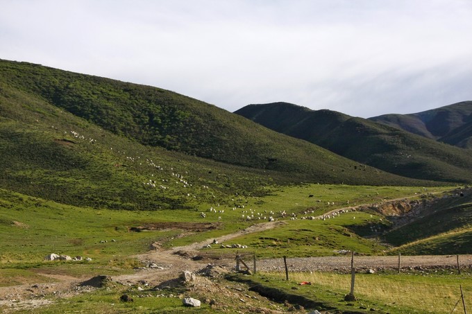 西北归来,我想说给你听,青海甘肃西安华山11天