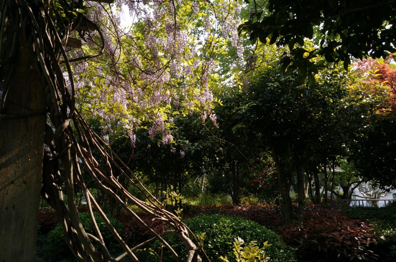 努比亚z17刷什么系统比较好,努比亚z17旗舰开箱视频