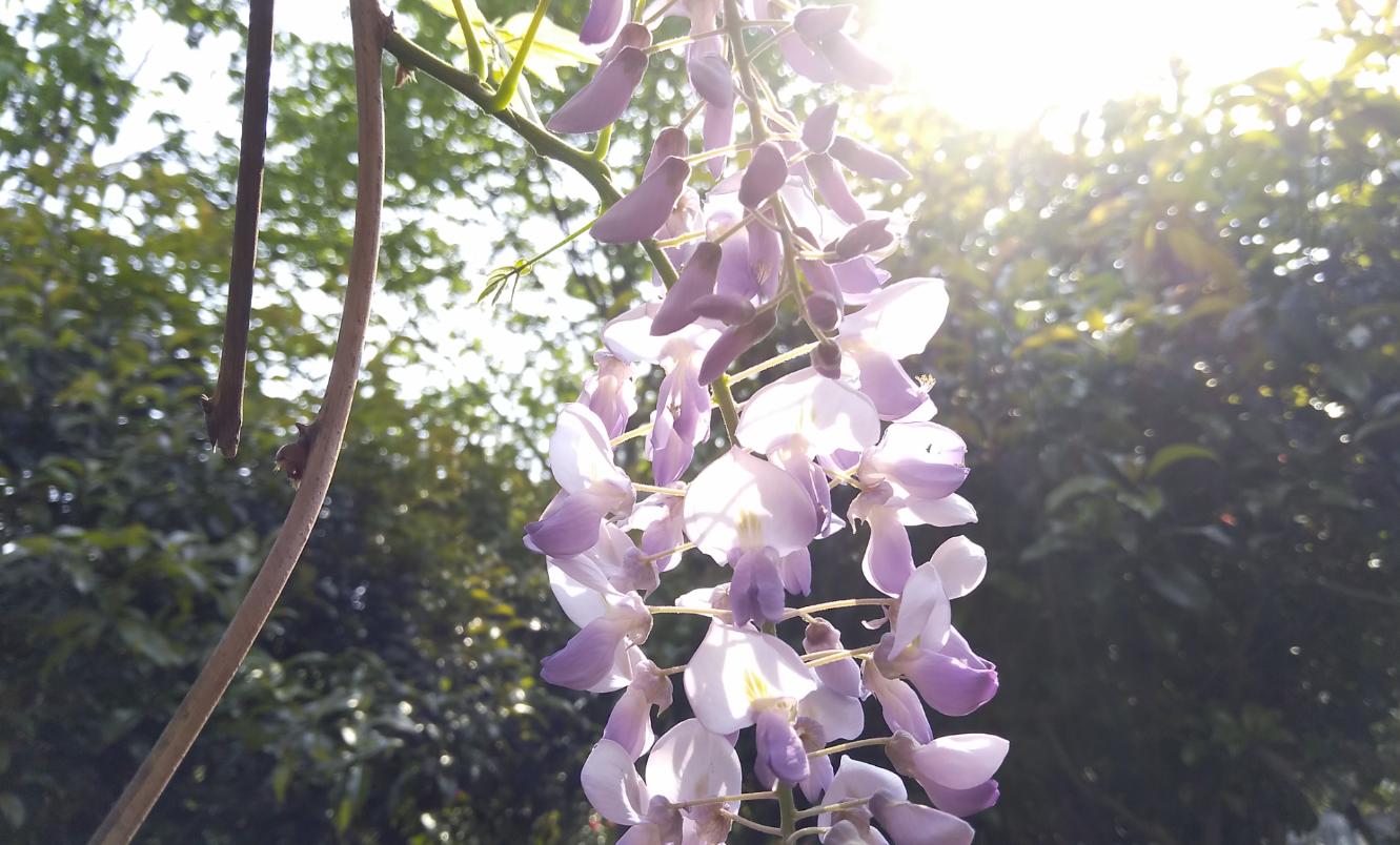 努比亚z17刷什么系统比较好,努比亚z17旗舰开箱视频