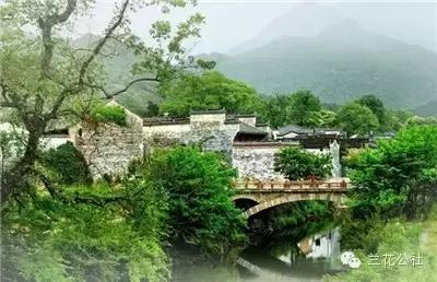 世界三大高香红茶,世界三大高香红茶是怎么评判的