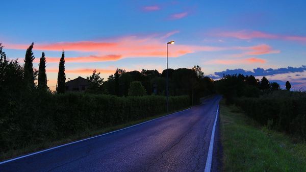 意大利商务签证能考驾照吗,意大利商务签证可以自由行吗