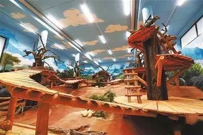 荷兰迎接中国大熊猫,大熊猫在国外有警车开道