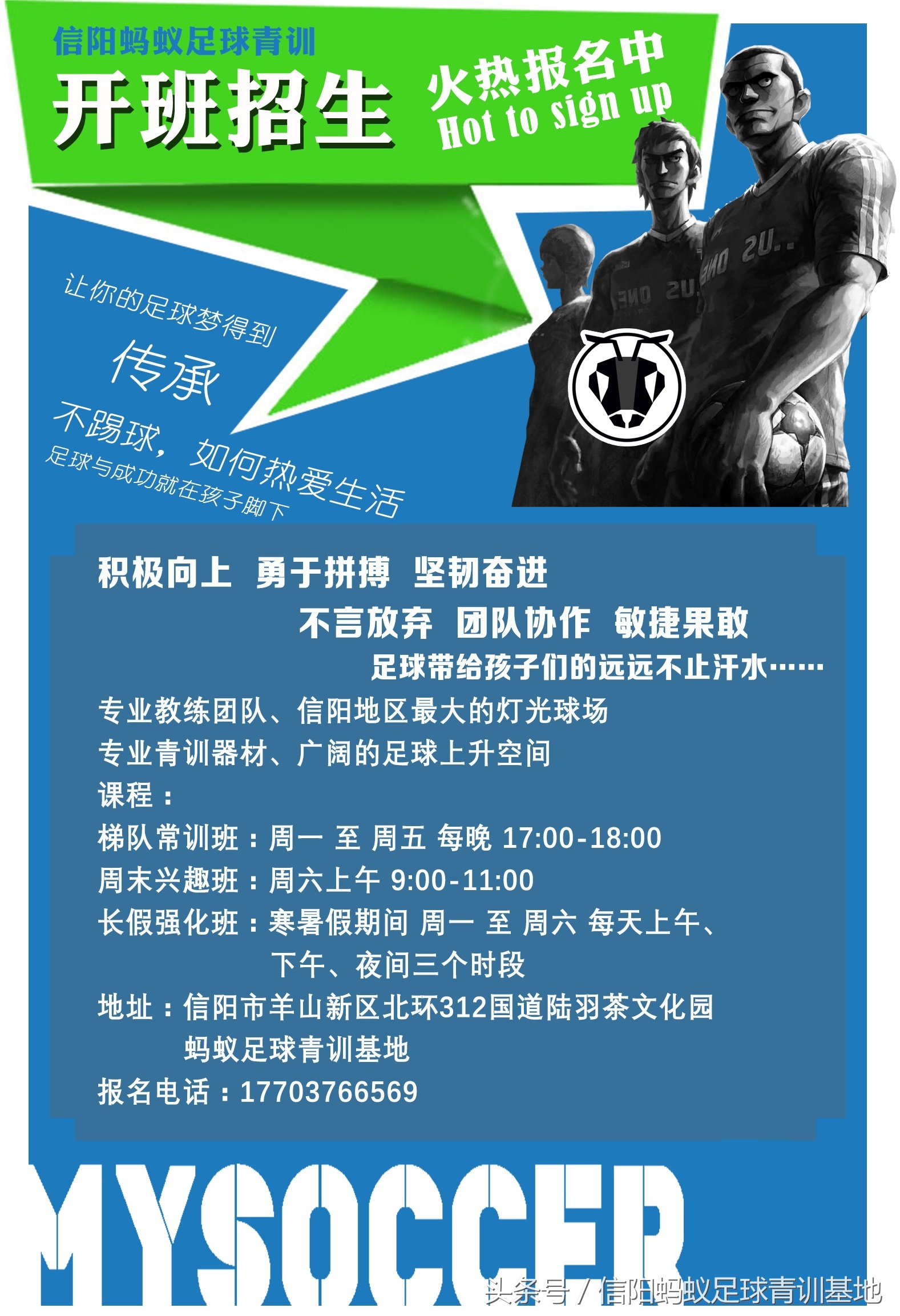 信阳蚂蚁足球排位赛,蚂蚁足球青训课堂