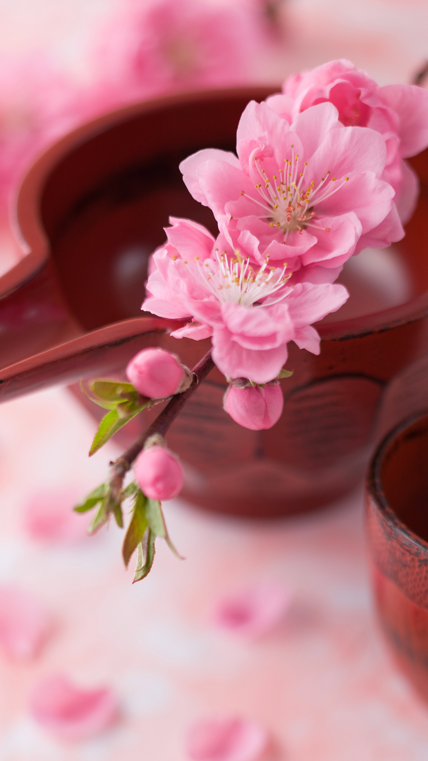 麦吉减肥法第一阶段完整食谱,麦吉减肥法第二阶段时间