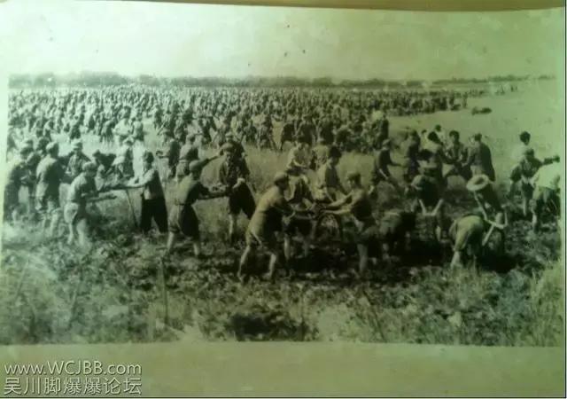 吴川旧时民国老照片,吴川市以前的照片