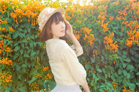 十二星座自我介绍大全,12星座软度排名