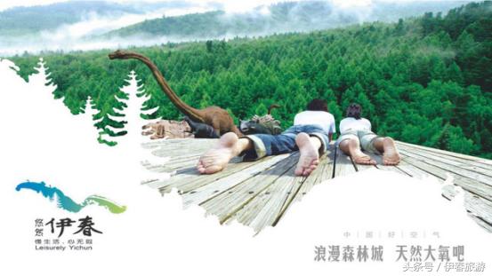 林都伊春有啥,北方林都伊春