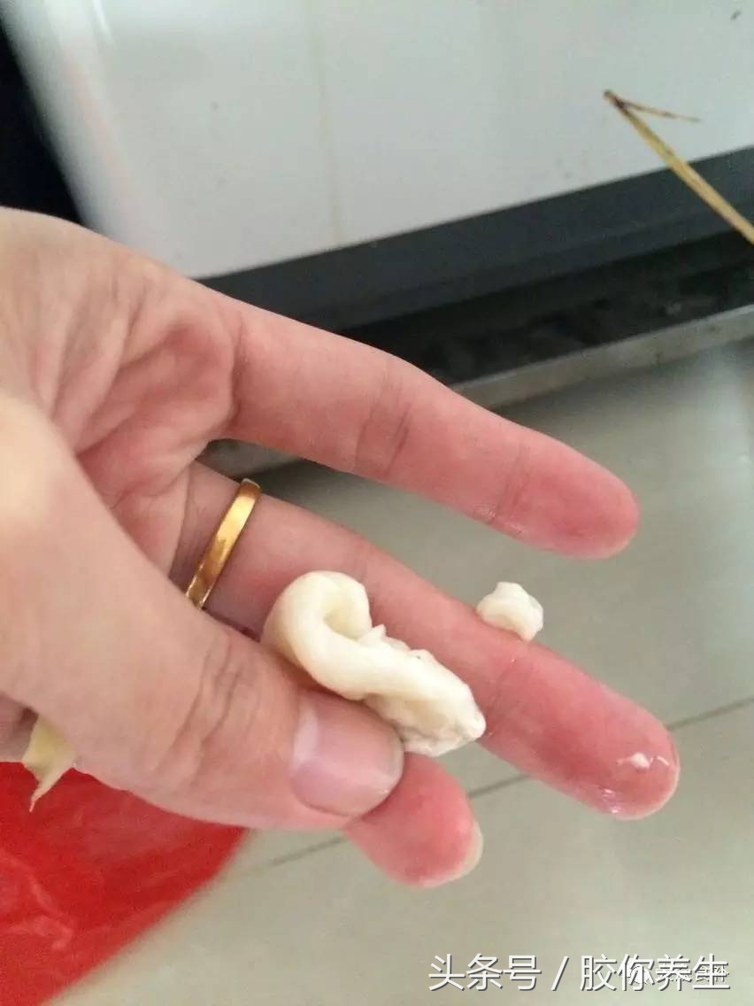 花胶鱼胶正确泡发方法,鱼胶花胶的泡发方法