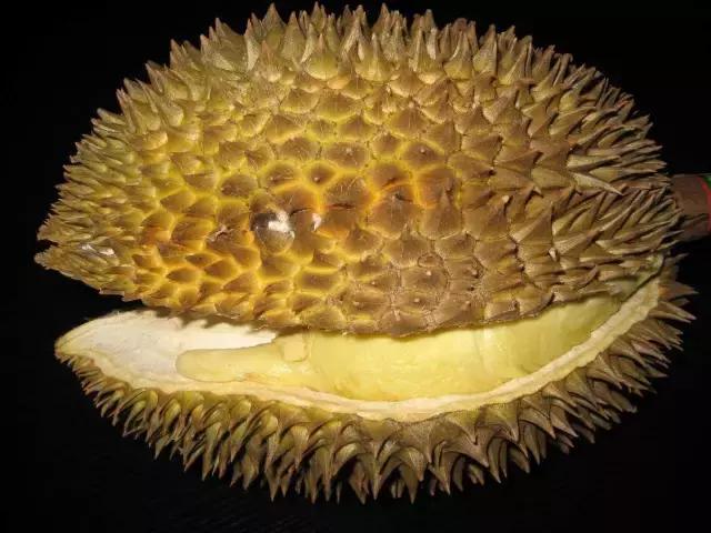 如何让抗拒榴莲的男朋友一起爱上榴莲？