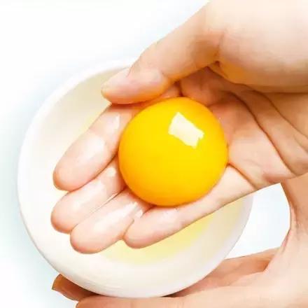 9种奇葩的动物蛋,这些奇葩的鸡蛋你见过吗
