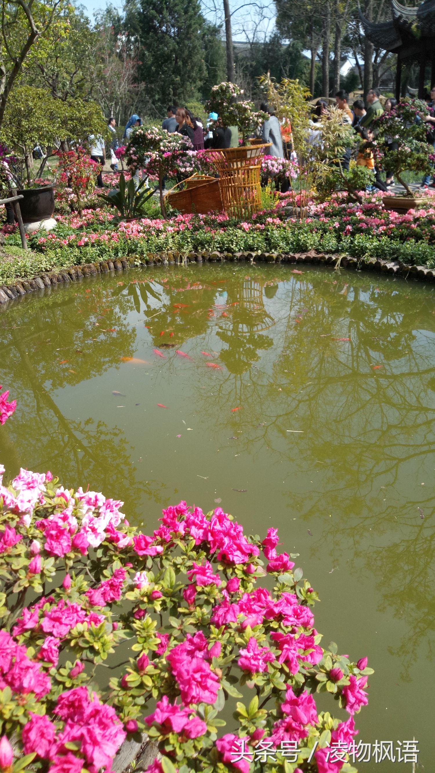 苏州拙政园景点讲解视频大全,苏州拙政园属于哪个区