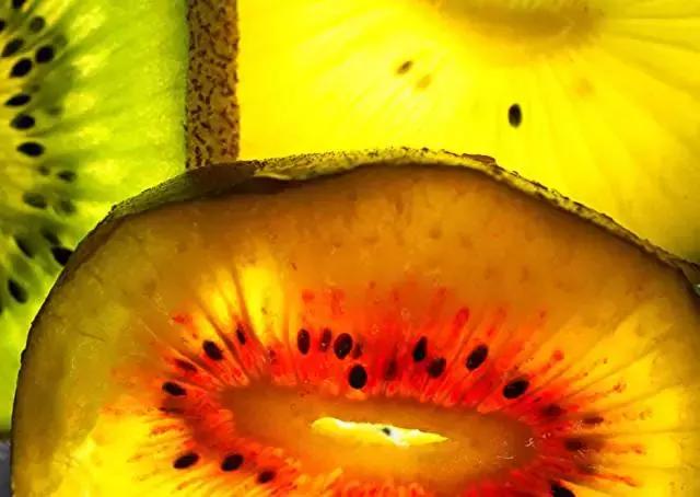 新西兰的奇异果为什么好,新西兰新鲜奇异果