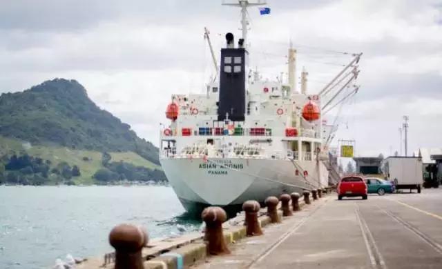 新西兰的奇异果为什么好,新西兰新鲜奇异果