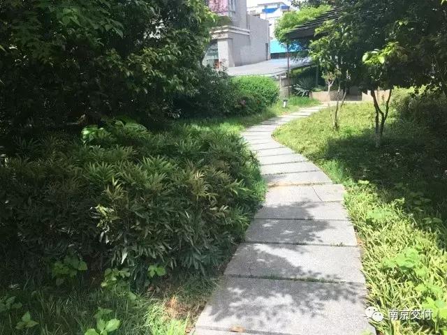 房龄差“三岁“，为了莫愁湖”新项目“却比老项目显老？