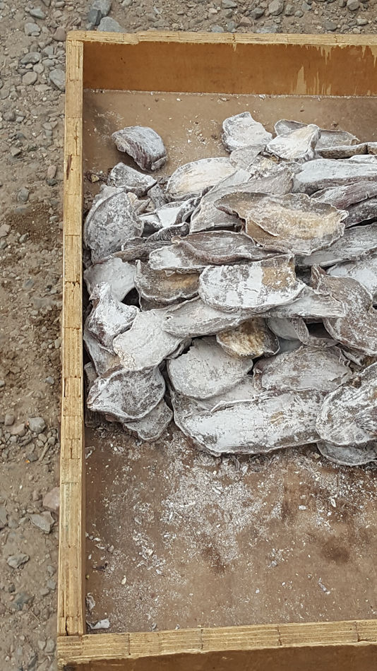 唐山市乐亭县大集,河北唐山乐亭大集