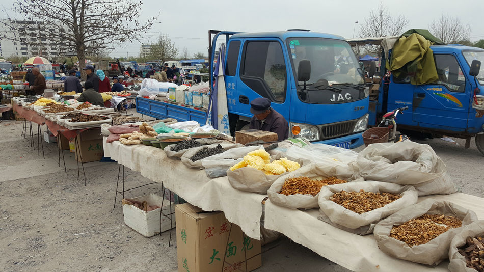 唐山市乐亭县大集,河北唐山乐亭大集