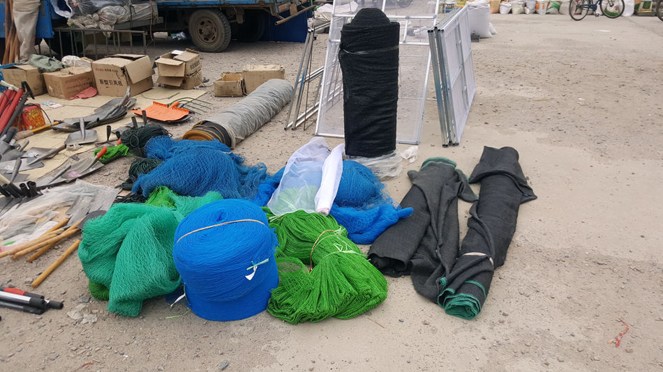 唐山市乐亭县大集,河北唐山乐亭大集