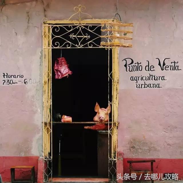 《速8》取景地，人均月薪20刀的幸福国度，还对中国免签！