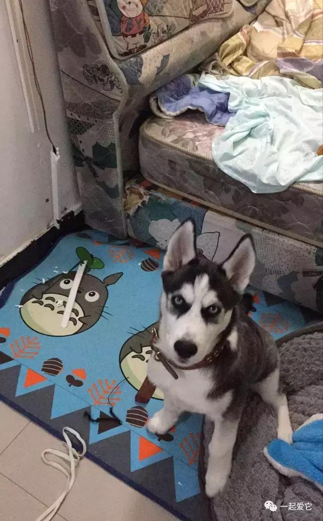 宠爱每一个故事,宠爱故事梗概