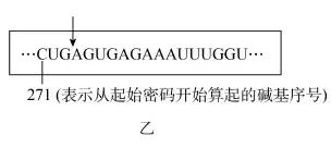生物技术实践视频,生物技术实践