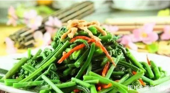 云居山映山红游详细攻略,观赏岫岩迎山红花海一日游