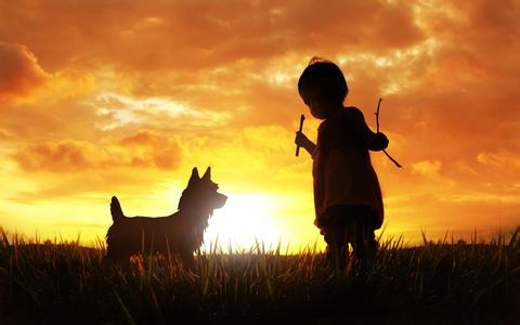 央视美女主持人的纠结:该让孩子学奥数,还是自然养育?