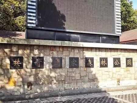 皮皮虾我们出去玩图片,皮皮虾我们一起去旅行