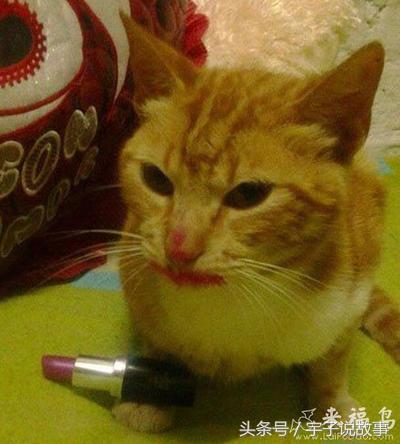 宇子说故事：小明你滚出去！又来了