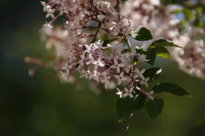 西北归来,我想说给你听,青海甘肃西安华山11天