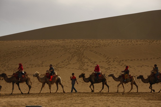 西北归来,我想说给你听,青海甘肃西安华山11天