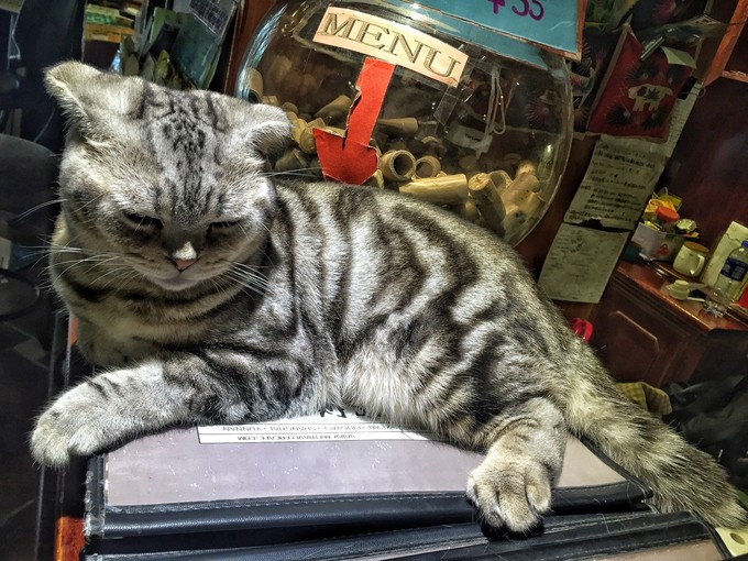 西北归来,我想说给你听,青海甘肃西安华山11天